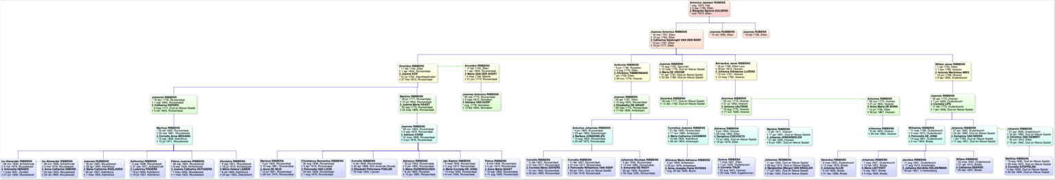 ribbens genealogie jpg
