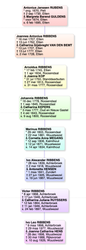 stamreeks voorbeeld